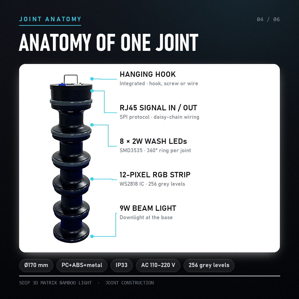 Joint anatomy